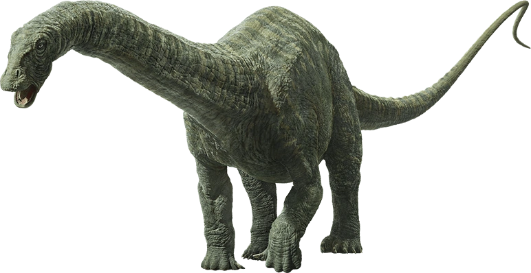 An artists impression of an Apatosaurus. A land dwelling creature with four massive legs, a long tail and a long neck.