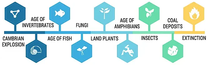 A timeline showing the evolution of different life forms 500 million years ago.