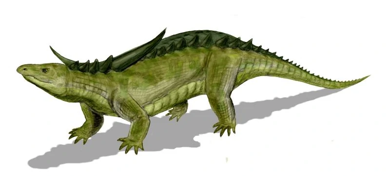 An artists impression of a Desmatosuchus. The creature has four legs, a long tail and a short head. It looks like it has armour on its back.