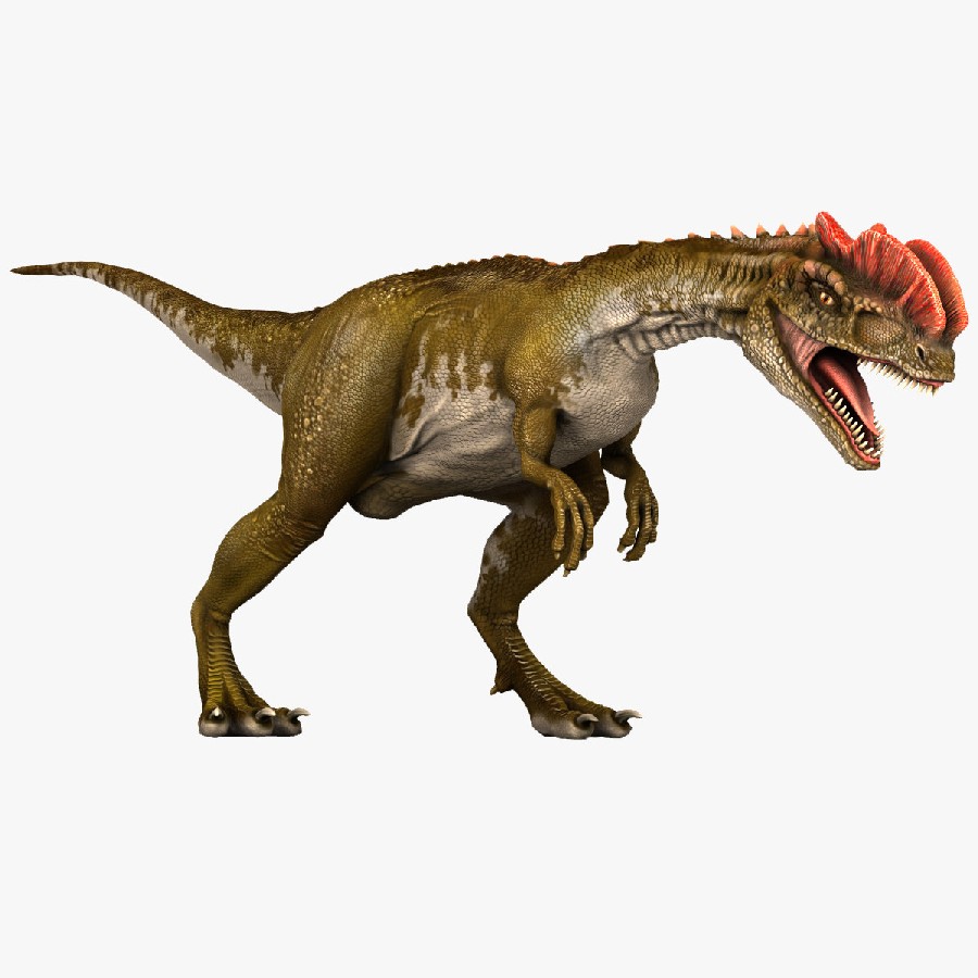 An artists impression of a Dilophosaurus. A bipedal creature with two strong backlimbs short forelimbs and a crest on its head.