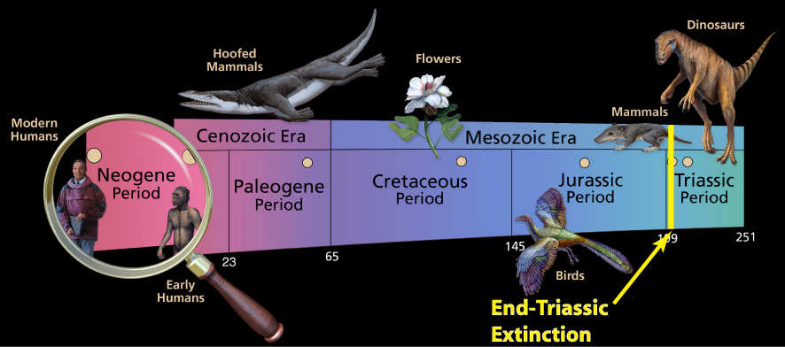 A timeline of the Mesozic Era to present-day with the End-Triassic extinction event marked.