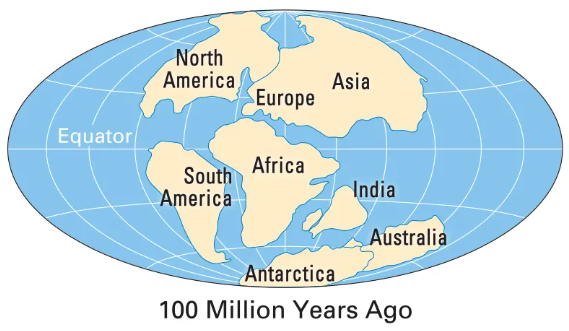 An artists impression of land mass on Earth roughly 100 million years ago - Pangaea has split into continents as we know them today, though India id floating in the Indian Ocean and Australia is still connected to Antartica.