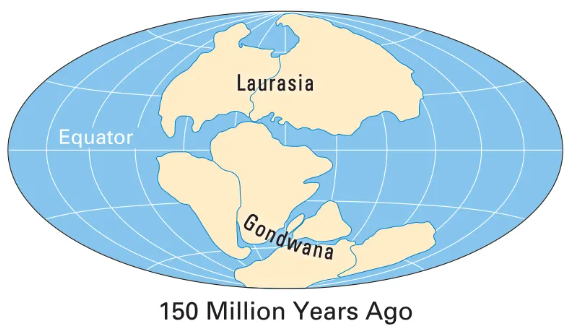 An artists impression of land mass on Earth roughly 150 million years ago - Pangaea has split into northern and southern halves.