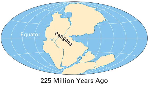 An artists impression of how Pangea looked 225 million years ago.