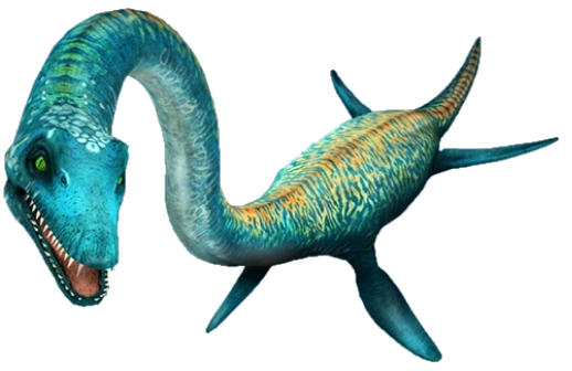 An artists impression of a Plesiosaurus. The creature has a long neck with a shorter tail with four powerful flippers.