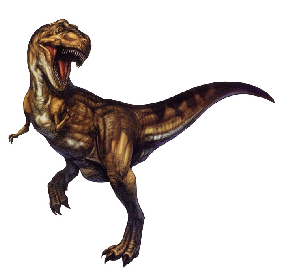 An artists impression of a Tyrannosaurus. A land dwelling bipedal creature with two long strong legs, a powerful tail, very short forelimbs and a large head.