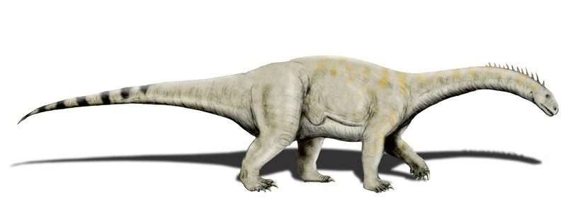 An artists impression of a Vulcanodon. A sauropod with four large, strong legs, a long neck and a long tail.